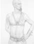 Strapping_32x26