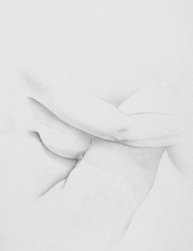 Embedded_Parts_27x21